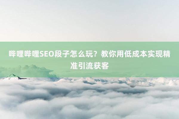 哔哩哔哩SEO段子怎么玩？教你用低成本实现精准引流获客