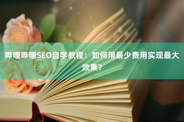哔哩哔哩SEO自学教程：如何用最少费用实现最大效果？