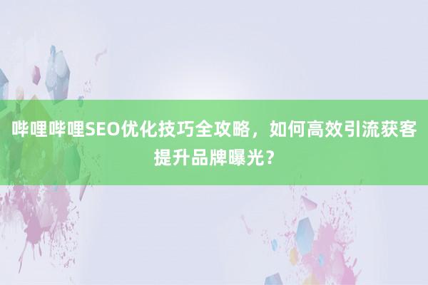 哔哩哔哩SEO优化技巧全攻略，如何高效引流获客提升品牌曝光？