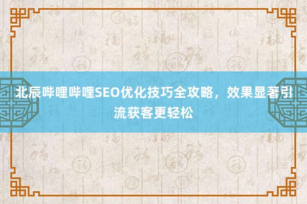 北辰哔哩哔哩SEO优化技巧全攻略，效果显著引流获客更轻松