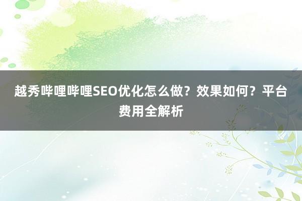 越秀哔哩哔哩SEO优化怎么做？效果如何？平台费用全解析