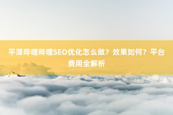 平潭哔哩哔哩SEO优化怎么做？效果如何？平台费用全解析