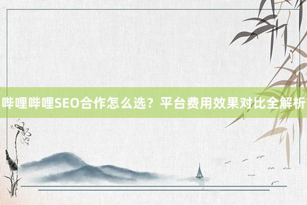 哔哩哔哩SEO合作怎么选？平台费用效果对比全解析