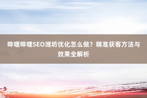 哔哩哔哩SEO潍坊优化怎么做？精准获客方法与效果全解析