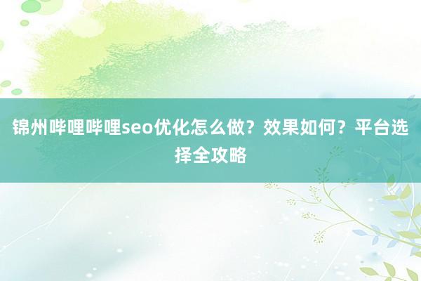 锦州哔哩哔哩seo优化怎么做？效果如何？平台选择全攻略