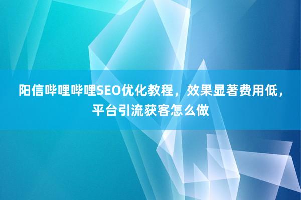 阳信哔哩哔哩SEO优化教程，效果显著费用低，平台引流获客怎么做
