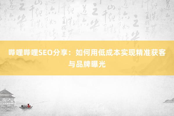 哔哩哔哩SEO分享：如何用低成本实现精准获客与品牌曝光