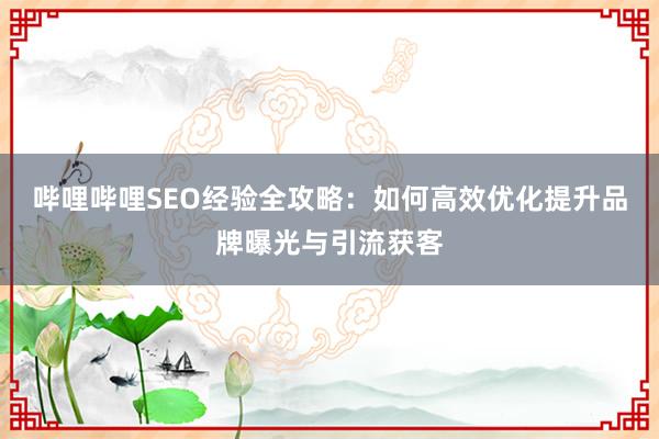 哔哩哔哩SEO经验全攻略：如何高效优化提升品牌曝光与引流获客