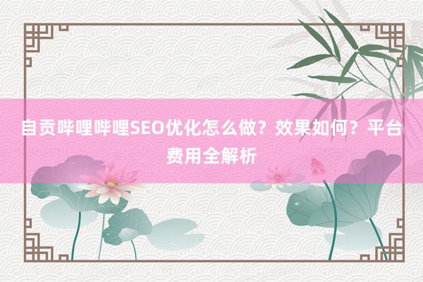 自贡哔哩哔哩SEO优化怎么做？效果如何？平台费用全解析