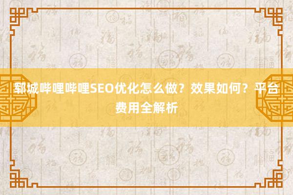 郓城哔哩哔哩SEO优化怎么做？效果如何？平台费用全解析