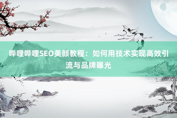 哔哩哔哩SEO美颜教程：如何用技术实现高效引流与品牌曝光