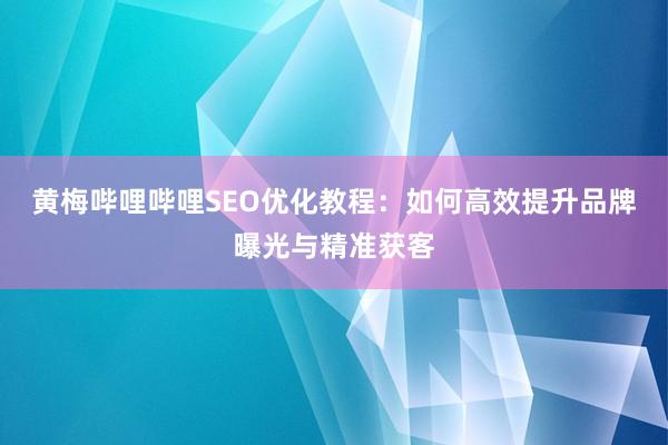 黄梅哔哩哔哩SEO优化教程：如何高效提升品牌曝光与精准获客