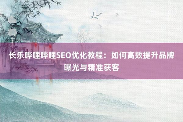 长乐哔哩哔哩SEO优化教程：如何高效提升品牌曝光与精准获客