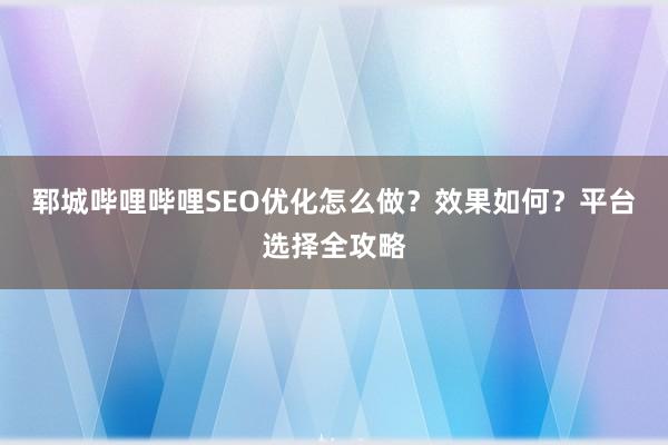 郓城哔哩哔哩SEO优化怎么做？效果如何？平台选择全攻略