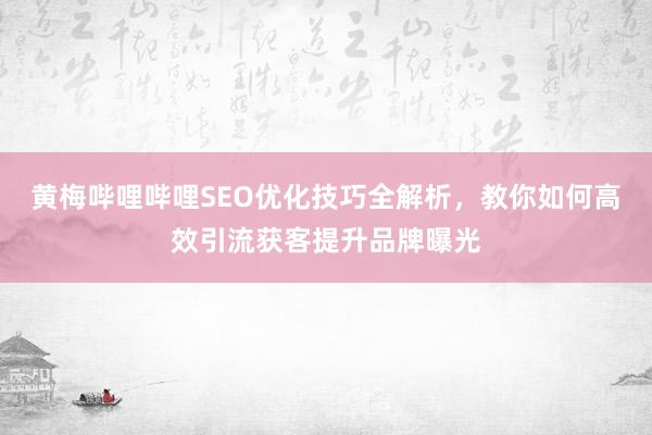黄梅哔哩哔哩SEO优化技巧全解析，教你如何高效引流获客提升品牌曝光