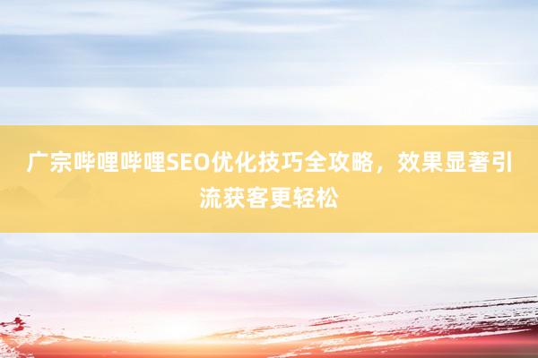 广宗哔哩哔哩SEO优化技巧全攻略，效果显著引流获客更轻松