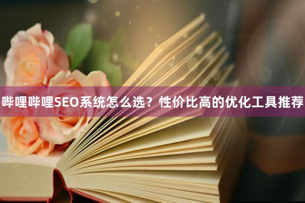 哔哩哔哩SEO系统怎么选？性价比高的优化工具推荐