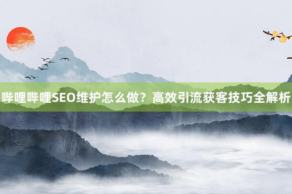 哔哩哔哩SEO维护怎么做？高效引流获客技巧全解析