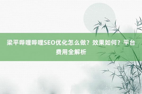 梁平哔哩哔哩SEO优化怎么做？效果如何？平台费用全解析