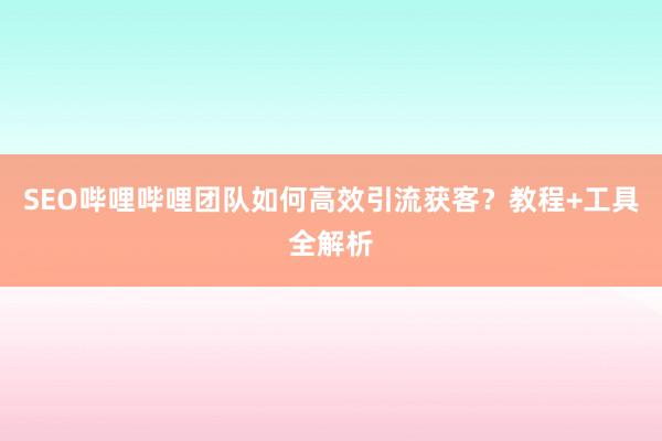 SEO哔哩哔哩团队如何高效引流获客？教程+工具全解析