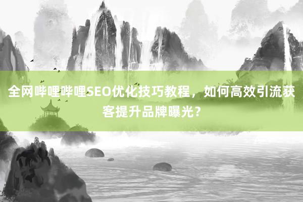 全网哔哩哔哩SEO优化技巧教程，如何高效引流获客提升品牌曝光？