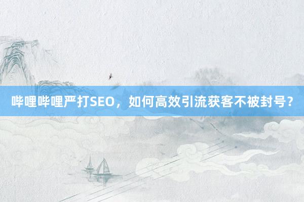 哔哩哔哩严打SEO，如何高效引流获客不被封号？