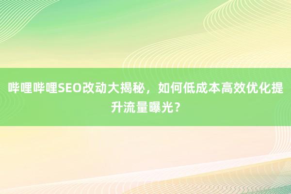 哔哩哔哩SEO改动大揭秘，如何低成本高效优化提升流量曝光？