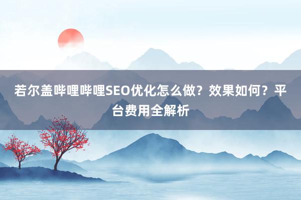 若尔盖哔哩哔哩SEO优化怎么做？效果如何？平台费用全解析