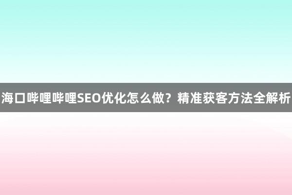 海口哔哩哔哩SEO优化怎么做？精准获客方法全解析