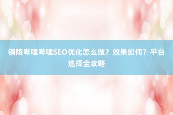 铜陵哔哩哔哩SEO优化怎么做？效果如何？平台选择全攻略