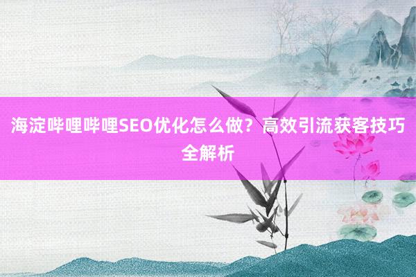 海淀哔哩哔哩SEO优化怎么做？高效引流获客技巧全解析